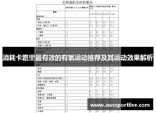 消耗卡路里最有效的有氧运动推荐及其运动效果解析