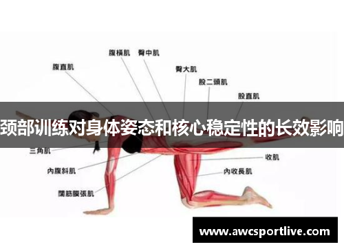 颈部训练对身体姿态和核心稳定性的长效影响